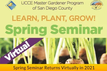 VSS banner 1920x1080