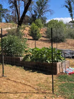New raised beds in Paradise, Debi Durham