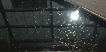 Bare LED bulb outside at night