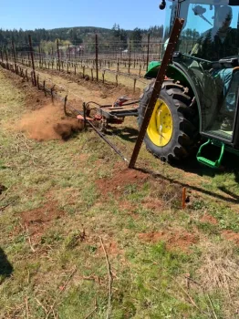 Figure 1. On farm study evaluating under-vine cultivator in Turner, OR in the spring of 2021.