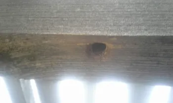 A well traveled hole