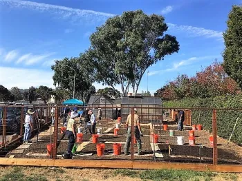 MG GEC Mulching our Garden Beds