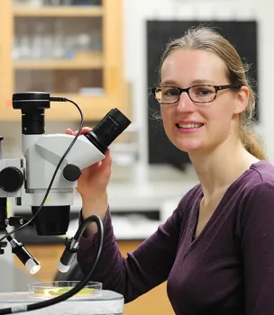 Elvira de Lange at her microscope. (Photo by Kathy Keatley Garvey)