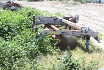 Malva in an equipment yard