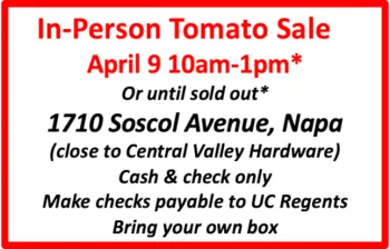 Tomato Sale and Education Day