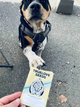 Verna at Harvests & Habitats, Sherri Scott