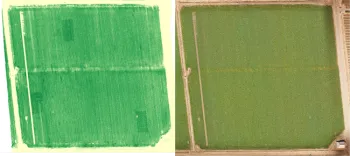 Nitrogen rich reference zones