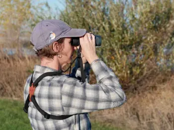 Carla Resnick birding at Llano Seco viewing platform, Dann Sargeant