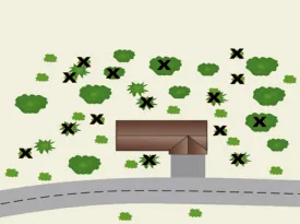 Plants and shrubs spaced source-Riverside County fire