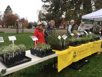 Plant Giveaway in Paradise 2021, Nancy Praizler.