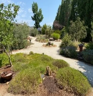 Foothill Mediterranean garden