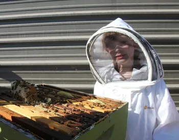 Natural Queen Bee Rearing: Make Way For The Queen