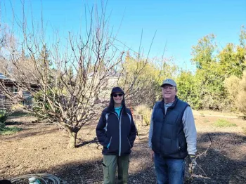 Jeanette Alosi and Joseph Connell will lead the Fruit Tree Pruning Workshop on December 3rd, Cornelia Coppock