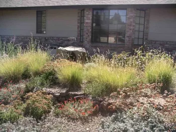 Birdbath made from large boulder, Cindy Weiner