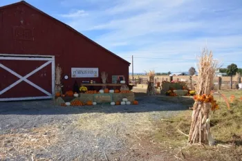 Hadwick Pumpkin Patch 2