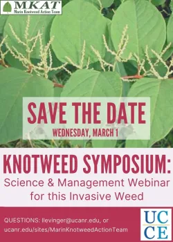 Knotweed Symposium 2023