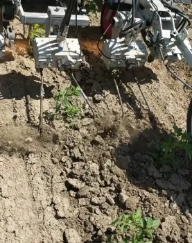 Figure 6. Robovator in action, 2020.