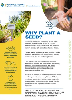 2022 End of Year Appeal letter preview