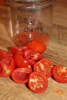 Sliced cherry tomatoes next to a glass container with cherry tomato seeds.