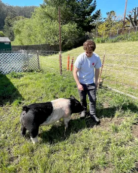 4-Her shows off his raised pig on Animal Field Day