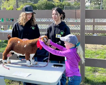 Animal Field Day Display Table