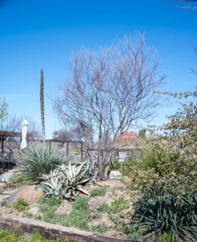 05-31-23_MD_SDG_Rock_Garden_Photo_1_by_Judy_Hobbs