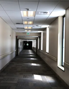 Each year, in the United States alone, some 230,000 people are hospitalized with traumatic brain injuries. (Photo by Kathy Keatley Garvey)