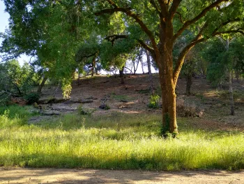 IMG_20230524_175559378_HDR