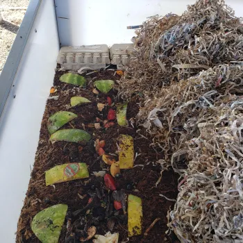 Feeding 1/2 at a time