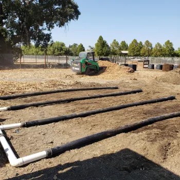 Under the piles