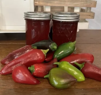 Jalapeno Jelly