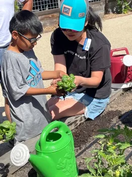 A woman shows the roots of a basil plant to a boy
