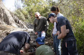 Hands-on learning at the South American Palm Weevil workshop