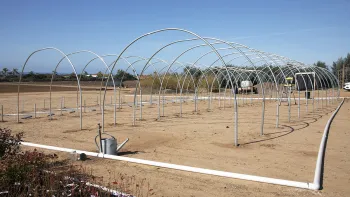 Frames of high tunnels for Eric Middleton and Lindsey Pedroncelli's urban agriculture project