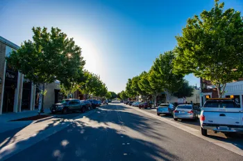 Tree canopy provides shade in downtown Tracy.
