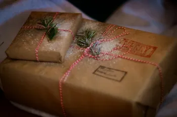 nathan-lemon-wrapping paper