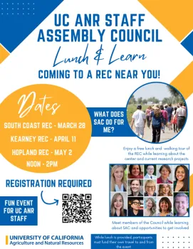 Lunch and Learn flyer