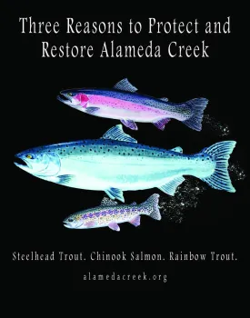 Alameda Creek Alliance