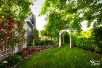 Feature 3 - Hedge providing wind block