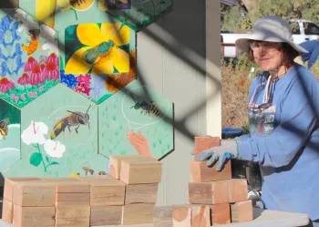 Betty builds bee houses