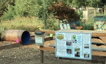Educational garden installed in 2017