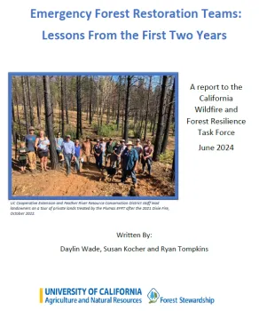 Screenshot EFRT report