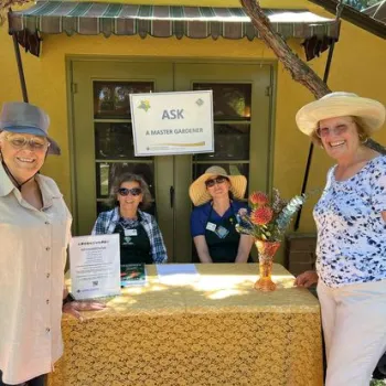 ask a master gardener