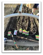 Irrigation system.