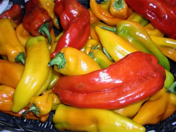 Pile of long red, orange, and yellow peppers