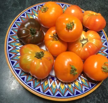 tomatoes on a platter