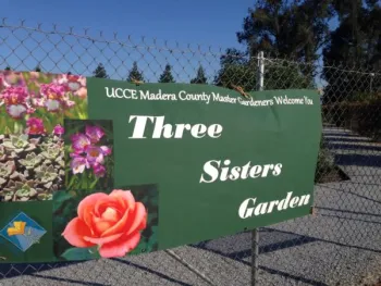 Madera Master Gardeners Three Sister Garden