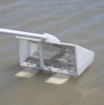 scooper in use for tadpole shrimps