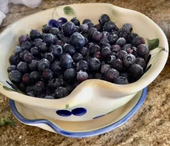 Bowl of fresh blueberries in a ceramic dish with blue berry decorations on a granite countertop.