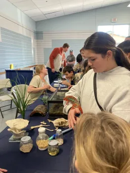 Una mesa para que los ninos vean animales como lagartijas